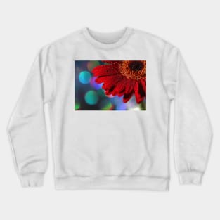 Red Rainbow Gerbera Crewneck Sweatshirt